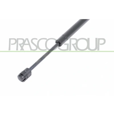 Immagine di PRASCO BM8029005 Ammortizzatori Cofano bilaterale 720 BMW: X3