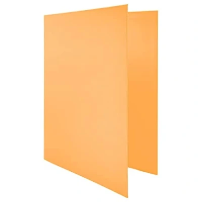 Immagine di Raylu Paper® raccoglitore 4 anelli a D da 25 mm, A4 con per riporre documenti, formato 33,5 cm di altezza x 26 larghezza e dorso spessore (arancio pastello)