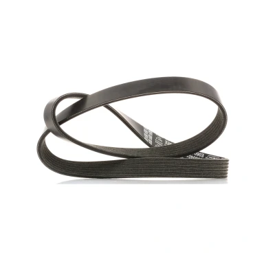 Immagine di DAYCO 6PK1019EE Cinghia Poly V 1019,0 6 FORD: FIESTA 6, 5, C Max 2, MAZDA: 3 Hatchback, Sedan