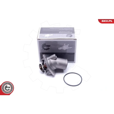 Immagine di ESEN SKV 20SKV201 Termostato, Refrigerante