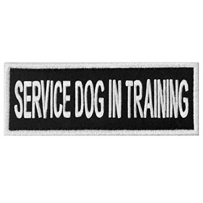 Immagine di SERVICE DOG Alert Sign canottiere/imbracature emblema ricamato chiusura Hook &amp; Loop patch IN TRAINING