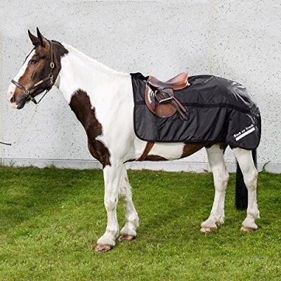 Immagine di Back on Track Excercise Rug