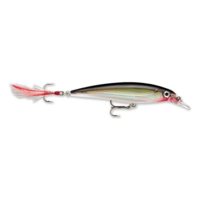 Immagine di Rapala X Rap 10cm &#039;Silver&#039; Esche artificiali minnow