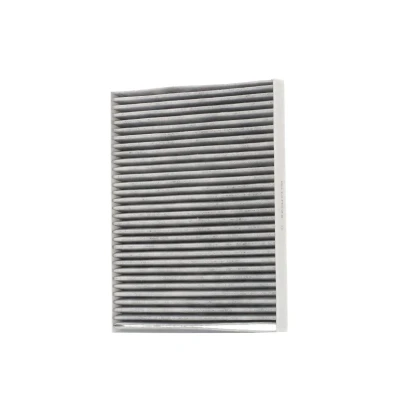 Immagine di AUTOMEGA 180006010 Filtro abitacolo al carbone attivo 240 190 22 FORD: FIESTA 6, 7, B Max