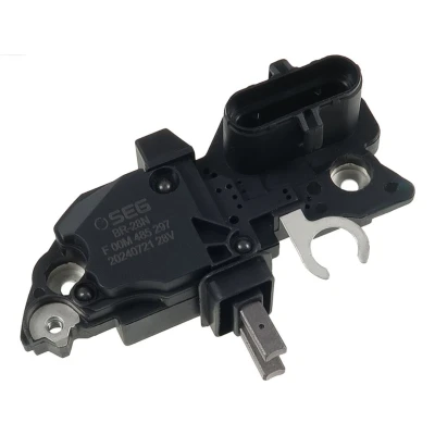 Immagine di AS PL ARE0054(SEG) Regolatore di Tensione 24V