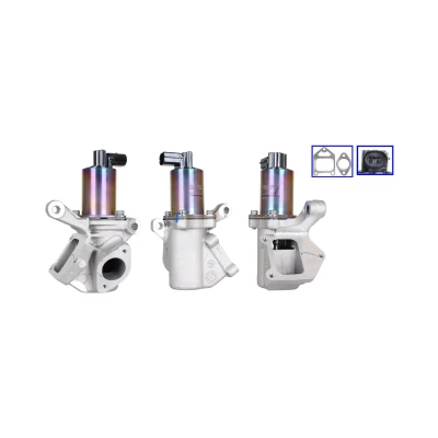 Immagine di ELSTOCK 72 0341 Valvola EGR elettrico con guarnizioni SSANGYONG: Rexton / 2, ACTYON 1, Kyron