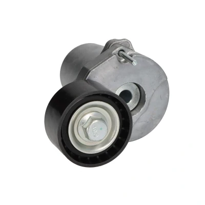 Immagine di Tendicinghia, Cinghia Poly V BTA E3B0006BTA
