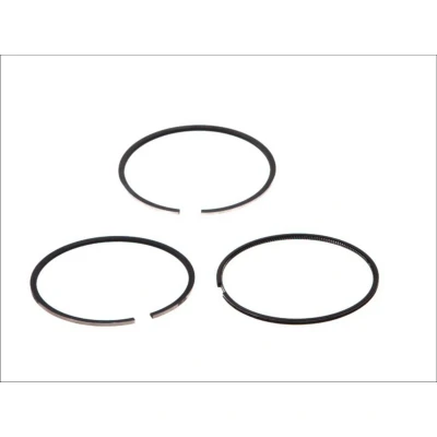 Immagine di GOETZE ENGINE 08 423000 00 Kit Fasce Elastiche 120