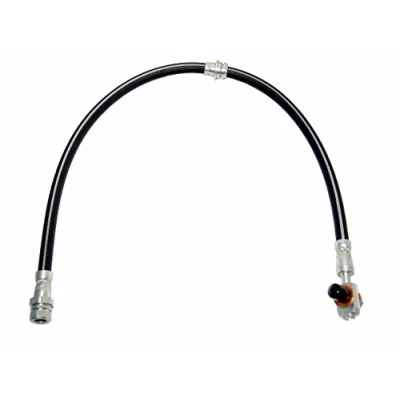 Immagine di DELPHI LH6458 Tubi Freno 620 Banjo VOLKSWAGEN: Passat B6 Sedan, Variant, CC
