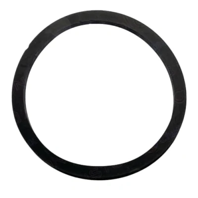 Immagine di Ariston Guarnizione d:121.7 105 11.5 60000682