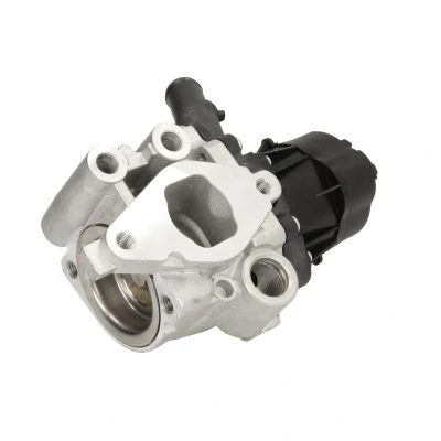 Immagine di Valvola EGR DELPHI EG10482 12B1