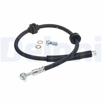 Immagine di DELPHI LH8019 Tubi Freno 711mm M10x1 120 SF