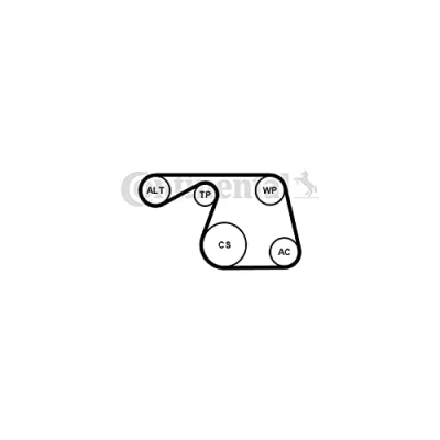 Immagine di CONTITECH 6PK1310K1 Kit cinghie Poly V FIAT: Idea, Grande Punto Hatchback, 500 LANCIA: Ypsilon III, II, Musa
