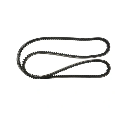 Immagine di DAYCO 13A1525C Cinghie Scanalate 13,0 1525,0