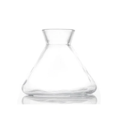 Immagine di TUPANDY diffusore in vetro vuoto da 220 ml, con bastoncini per aromaterapia, accessori profumi, set di diffusori a ricambio fai te (trasparente)