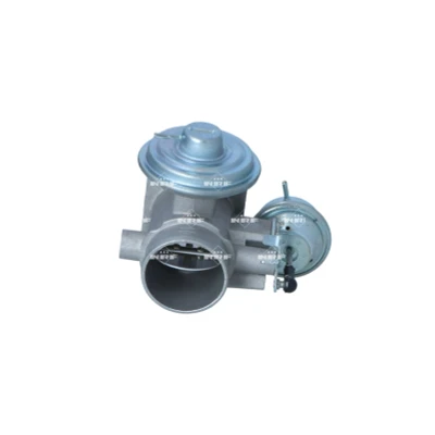 Immagine di NRF 48628 Valvola EGR con guarnizioni