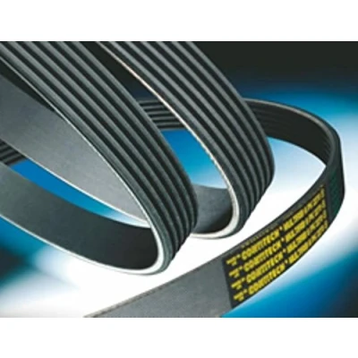 Immagine di CONTITECH 8PK1840 Cinghia Poly V 1840 8