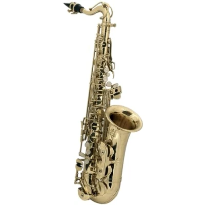 Immagine di Roy Benson Eb Alt Children&#039;s Saxophone AS 201 (progettato appositamente per i bambini, con panno la pulizia, cinghia l&#039;imbracatura, in una custodia rettangolare leggera, set di zaini)