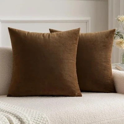 Immagine di MIULEE Cuscini Arredo Divano Copricuscini Camera da Letto Federe Arredamento Casa Moderni Elegante Morbido Resistente in Velluto con la Cerniera Invisibile 2 Pezzi Cioccolatto 40X40 CM