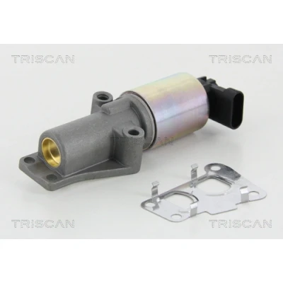 Immagine di TRISCAN 8813 24010 Valvola EGR elettrico con guarnizioni OPEL: Zafira A, B, Astra H Hatchback