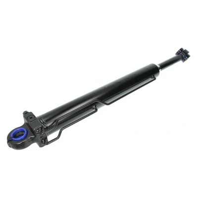 Immagine di FEBI BILSTEIN 33952 Cilindro ribaltamento, Cabina SCANIA: P,G,R,T series