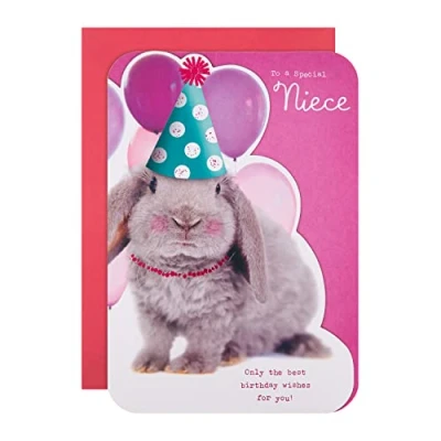 Immagine di Hallmark Biglietto di compleanno per nipote Carino coniglio fustellato