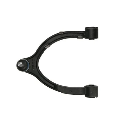 Immagine di REINHOCH RH04 6052 Braccio oscillante, Sospensione ruota Superiore, Assale anteriore Dx trasversale oscillante 18 TESLA: Model 3