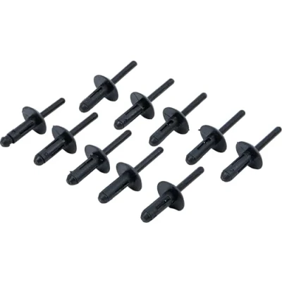 Immagine di BGS 8463, 6,3 x 25,2 mm (10 pezzi), 1 Pezzi Rivetti In Plastica 4