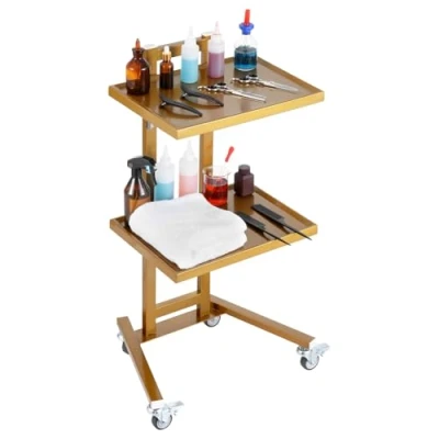 Immagine di VEVOR Carrello da Laboratorio in Acciaio Inox 2 Ripiani, Portaoggetti, Mobile con 4 Ruote, per Clinica, Ospedale, Salone, Colore Dorato