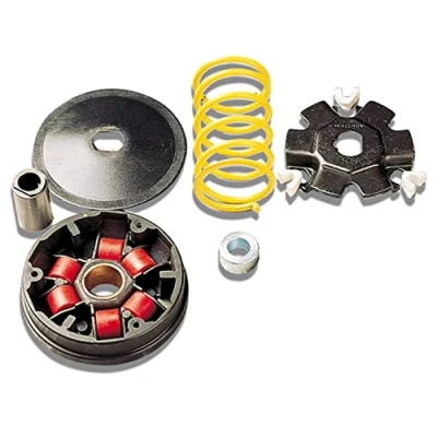 Immagine di variomatik MALOSSI MULTIVAR per Honda dio sp, Vision