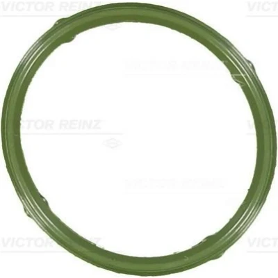 Immagine di REINZ 71 36066 00 Guarnizione Collettore Aspirazione FPM (Fluoro Caucciù) VOLKSWAGEN: Polo IV Hatchback, SKODA: Fabia 1 Combi, I Hatchback