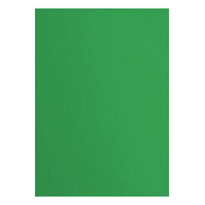 Immagine di Cartoncino Florence Testurizzata Materiali per Biglietti colorati A4 Holly 10 Fogli Carta Scrapbooking, Biglietti, Fustellatura e Progetti con 216 gsm Verde