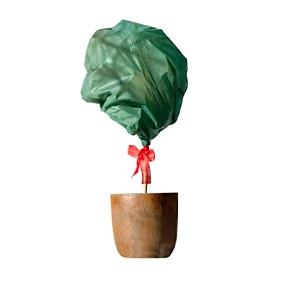 Immagine di Windhager Decorazione 07919 Tessuto Non Termico, Freddo, antigelo per Piante, Protezione Invernale, Verde, 1,6 x 10 m, 30 g/m, m