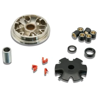 Immagine di MALOSSI Multivar, variatore per Honda 50 Dio Clean 4 You/Zoomer/Ruckus, 4T LC 16 x 13 mm, 6 rotelle, 6,0 g