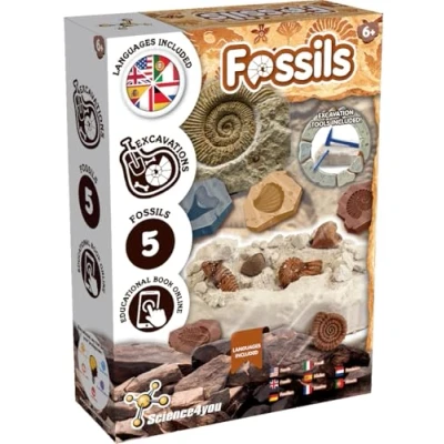 Immagine di Science4you Kit per Lo Scavo Dei Fossili Imparate a Conoscere i e la Paleontologia con questo di Scavo, Scoprite Gli Incredibili Fossili, Regalo Paleontologico Bambini 6 7 8 9+