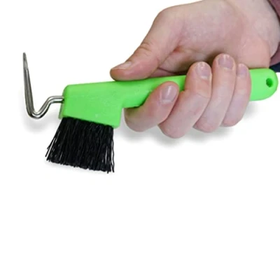 Immagine di Raschietto per cavalli, asini, capre, zoccolo con spazzola extra stabile e impugnatura ergonomica (verde fluo (1 x ))