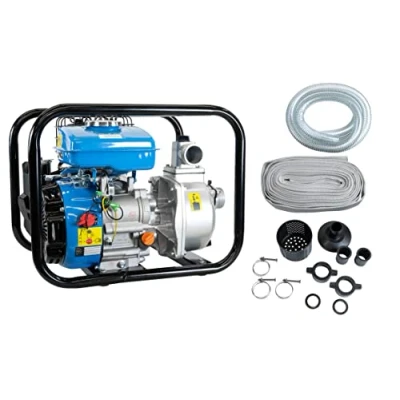 Immagine di Güde 94503 Set pompa motore GMP 15.22 (motore a 4 tempi, volume: 15.000 l/h, altezza massima di mandata: 22 m, benzina), blu, nero