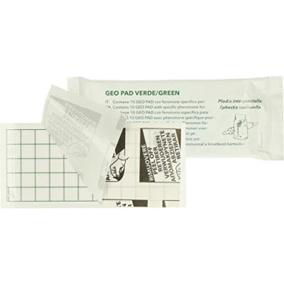 Immagine di Hofman Piastra Geo Glue Food moth (Ephestia / Plodia) One Size Colore Meno