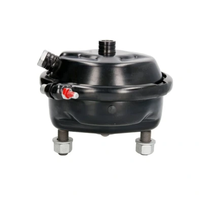 Immagine di DT Spare Parts 7.34230 Cilindro freno a membrana