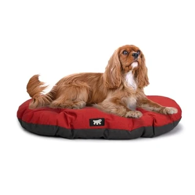 Immagine di Ferplast Cuccia Cane Relax, Cuscino per cani di taglia media, Gatto, Tappetino cucce e auto Lavabile in Cotone con Soffice Imbottitura, 65 x 42 cm. Rosso