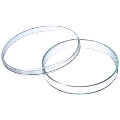 Immagine di neoLab Anumbra Set di 5 ciotole in vetro borosilicato, 100 mm, altezza 15 colore: Trasparente