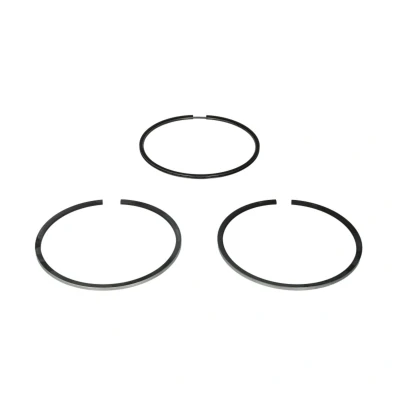 Immagine di GOETZE ENGINE 08 428600 00 Kit Fasce Elastiche 120