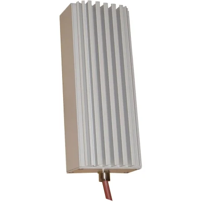 Immagine di Rose LM Midi Typ 3 Riscaldatore per armadio elettrico 230 V/AC (max) 125 W (L x L A) 216 80 55 mm 1 pz.