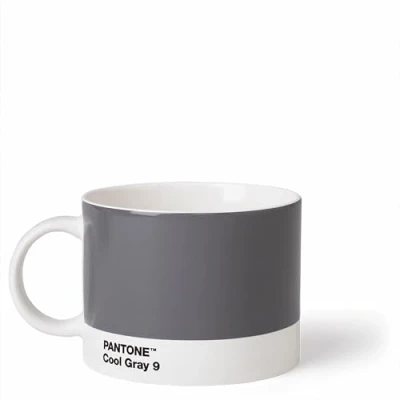 Immagine di Copenhagen design Pantone Tazza di tè, Porcellana, Grigio (Cool Gray 9), 475 ml
