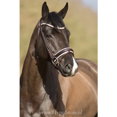Immagine di Premiera &#039;&#039;Imperia&#039;&#039; brown rolled bridle with white padding and crystal browband, silver buckles