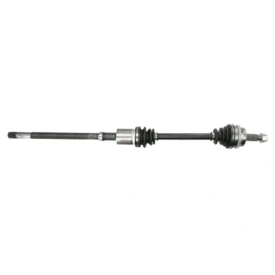 Immagine di Albero motore/Semiasse PASCAL G21019PC