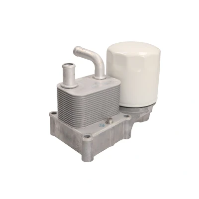 Immagine di THERMOTEC D4G016TT Radiatore Olio FORD: Focus Mk1 Hatchback, Station Wagon, Galaxy Mk2 MPV