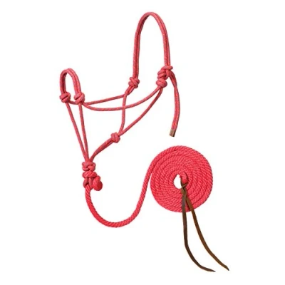 Immagine di Weaver Leather Cavezza e guinzaglio in Corda Intrecciata, Rosa Acceso/Oro/Turchese, Cavallo Medio
