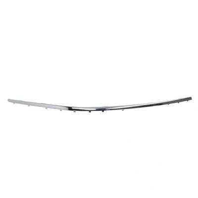 Immagine di Paraurti striscia di rivestimento/protezione BLIC 5703 05 0076920PP Destra