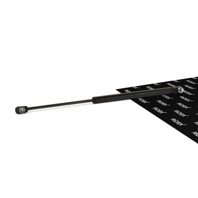 Immagine di RIDEX 514G0097 Ammortizzatori Cofano 300 TOYOTA: Land Cruiser Prado 120
